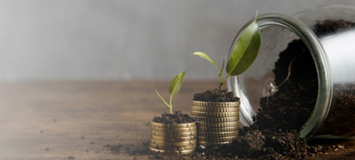 Quantum Liquid Fund